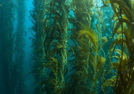 Underwater mortgages decreased as equity rose in May