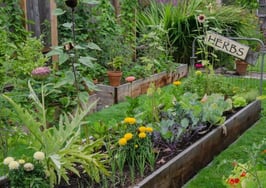 5 ways to court millennial buyers