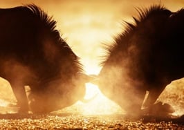 5 tips to win a multiple-offer bidding war