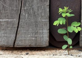 What real estate innovation looks like -- and how to prepare for it