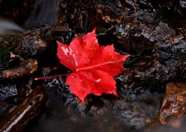 NAR tech accelerator Reach expands to Canada