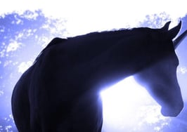 'You're not the listing agent?' 6 myths agents should debunk for consumers