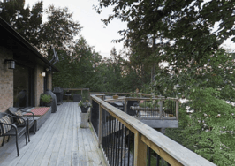 3-D home of the day