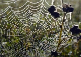 6 tips to help you network like a boss