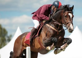 Housing market still jumping through July