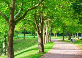 What's the real impact of an environmentally certified home?