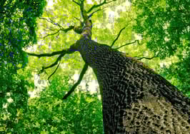 You make money when you buy