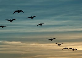 7 things I learned in 2016, a 'leap' year