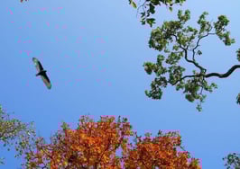 8 ways Google is circling real estate