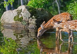 Inside Ben Kinney's flourishing real estate empire