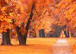 New-home sales predicted to slow as fall approaches