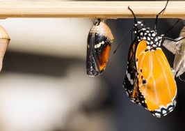 How to execute killer online real estate lead conversion