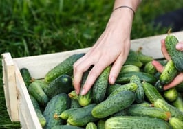 RealtyTrac adds targeted marketing lists to data offerings