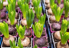 NAR February pending home sales rebound 5.5% over January