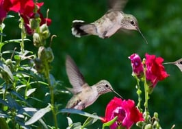 Why is my business not humming in this hot market?