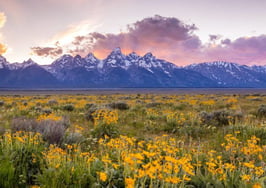 Zillow Wyoming