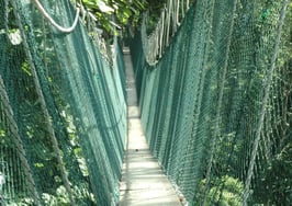 Dumping IDX: Don't burn our safety net