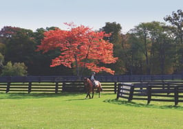 Luxury listing of the day: Equestrian paradise in Dutchess County, N.Y.