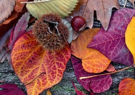 3 ways to engage past clients this fall