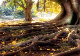 Windermere expands in Southern California, hires new exec