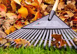 Zillow partners with CFPB to collect consumer data