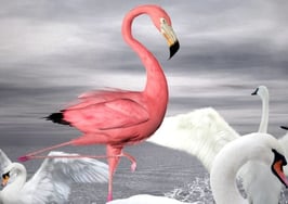 5 ways to justify your commission to clients