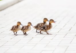 New agent starter kit: Part I