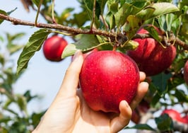 Canada's largest MLS to offer Matrix as an option