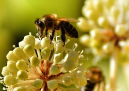 5 Facebook posts that are killing your business