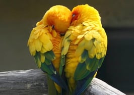 Podcast: Fallen out of love with real estate? Time to find your passion again -- Part 2