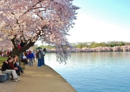 Living in Washington, DC