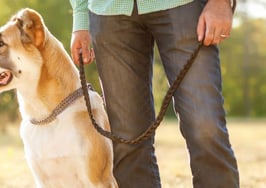 Will RPR fears hold back industry vision for Upstream?