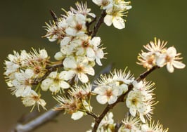 How technology is changing the way we do real estate