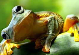 It's never too late to stop procrastinating