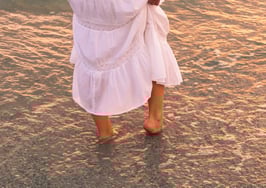 Snowbirds land most often in the Sunshine State