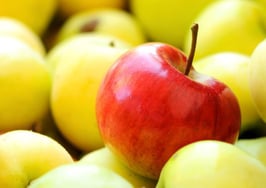 Independent or franchise?