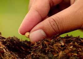 Zillow Rent Forecast predicts high rental appreciation trends in SF