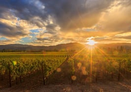 Statewide and LA prices fall while San Francisco's continue to climb