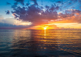 Boomtown Miami: what the skyline will look like in 15 years