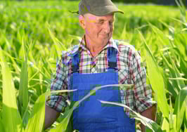 Markets where sellers are reaping big profits from price gains