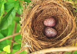 Houston named best city for building a nest egg