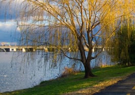 Redfin releases economic diversity breakdown in DC