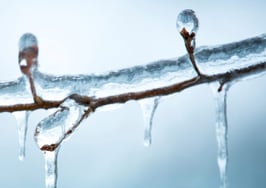 Why do Californians pay more for a credit report security freeze?