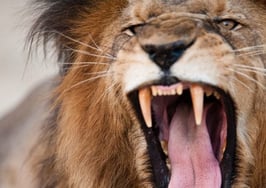 NAR: 'The MLS is under attack'