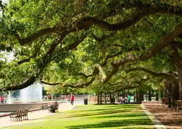 Houston delinquent mortgages are lower than the nation's