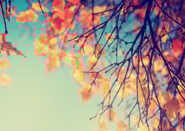 Fall is the new spring in real estate