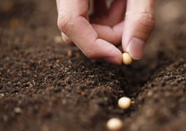 ERA Real Estate expands following mergers and acquisitions