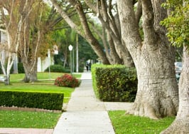 LA luxury market is strong and brokerages are expanding