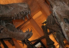 Los Angeles noted as nation’s cultural capital