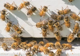 Podcast: A great new source for highly motivated seller leads